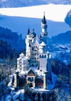 異世界に転生した私