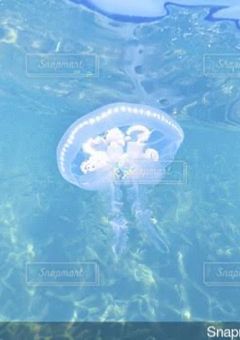 〜アクアリウムは踊らない〜