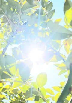 そんな日々のあと