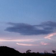 くまさんさんのアイコン画像