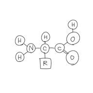 網野さんのアイコン画像