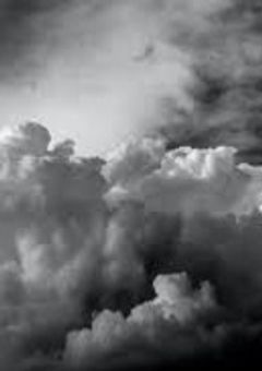 失踪した姉妹たち