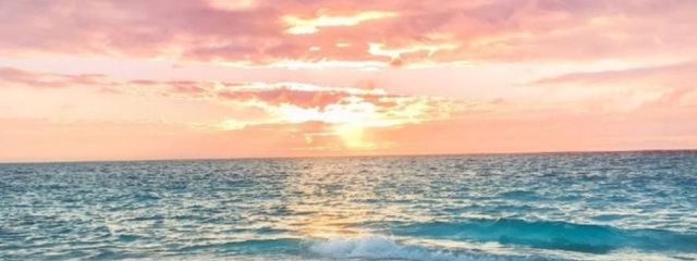 黒薔薇組最年少総長ですが何か？さんの壁紙画像