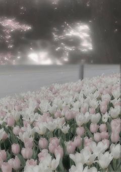 大好きだったあの人。