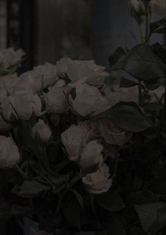 死にたいヒョンと殺したい僕