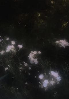 小説リンクこちらから⬇️
