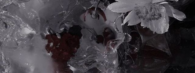 Lee know🧸🍮さんの壁紙画像