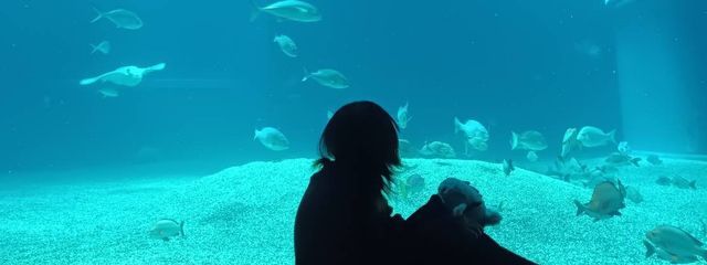 🪫 猫夜 眠 🐾 さんの壁紙画像