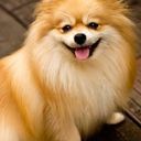 お歌のお兄さん