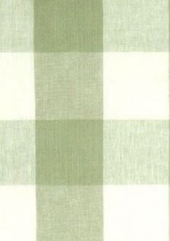 언젠가, 스포트라이트 속에서. ☘️.*◦