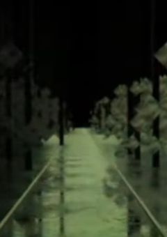 「陽気な漢方医」