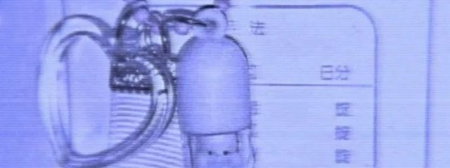 白ノ熊🧸🎧🤍さんの壁紙画像