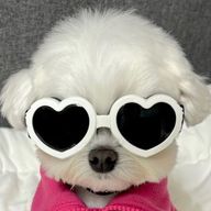 ㅋさんのアイコン画像