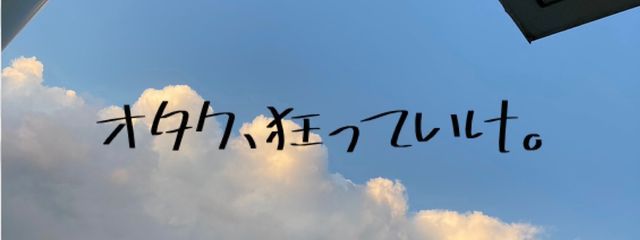 狐さんの壁紙画像