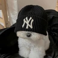 🤍𝐘𝐮𝐢🤍さんのアイコン画像