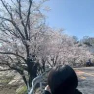Ayさんのアイコン画像