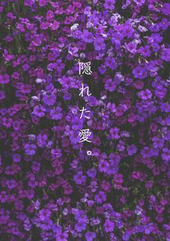 【完結】隠れた愛。