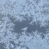 ENTさんのアイコン画像