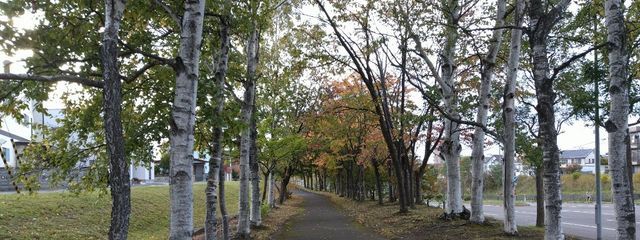 なな🐇(小説の更新停止中)さんの壁紙画像