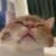 AYUMI🐚TWSTさんのアイコン画像