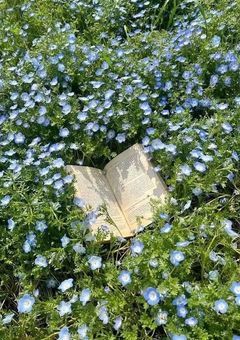　お は な し　