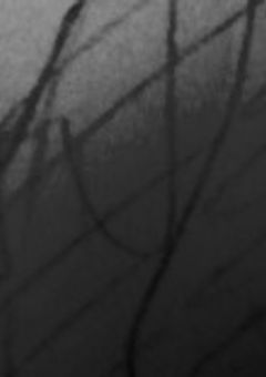 『  虎 🐯   病 み 系 短 編 集   』