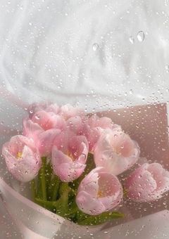 可愛らしいキミ　[ knfm ]