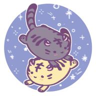 .🧡💙🖤さんのアイコン画像