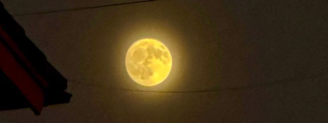 Mさんの壁紙画像