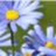 saonhoさんのアイコン画像