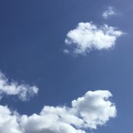 あおさの味噌汁@生きてますさんのアイコン画像