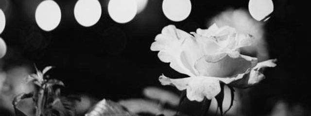 ヘアゴムさんの壁紙画像