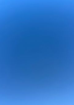 星にも願ってろ