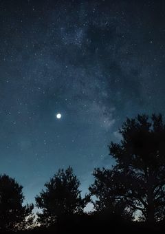 世界にアイリスの花束を