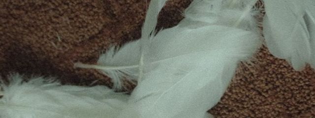 　 悠　@ 低浮さんの壁紙画像