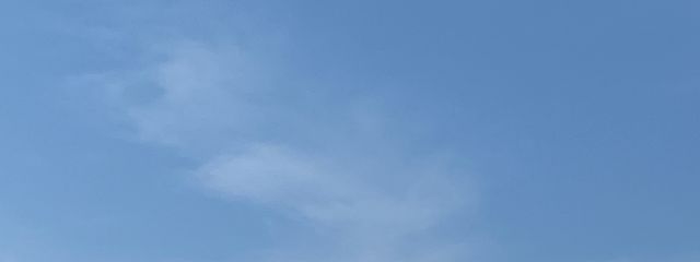 んふ♪さんの壁紙画像
