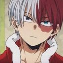 轟　焦凍(ﾄﾄﾞﾛｷｼｮｳﾄ)