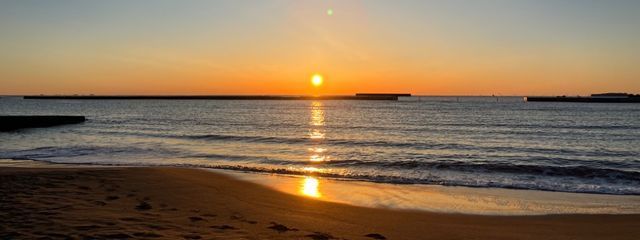 のんさんの壁紙画像