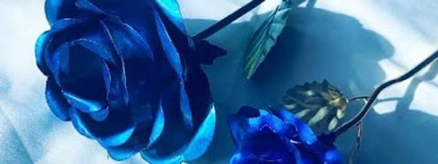 𝐏 𝐈 𝐊 𝐀 💡′-さんの壁紙画像