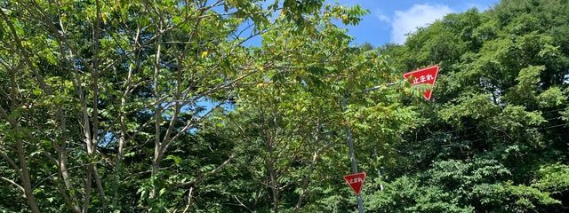 sian𓈒𓐍𓈒さんの壁紙画像