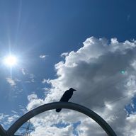 sian𓈒𓐍𓈒さんのアイコン画像