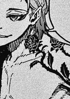 処　女　泥　棒 