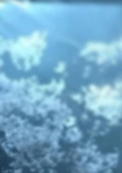 学校の先生がSnowManだったら､､､､､､