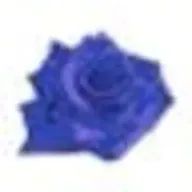 all the queensさんのアイコン画像