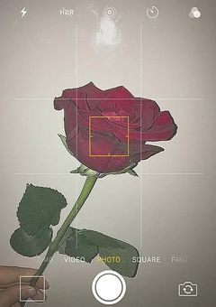 TikTok  𝐼𝑛𝑠𝑡𝑎𝑔𝑟𝑎𝑚専用