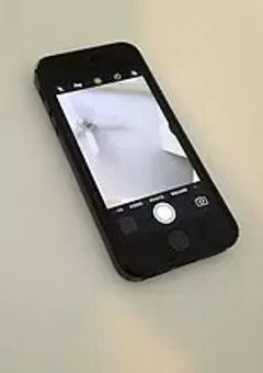 ジャニーズのお嬢様