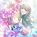 凪星(なぎせい)