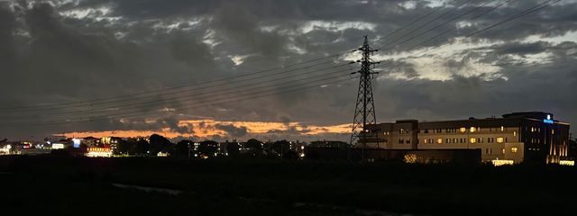 楊炎 ひまわり　＃改名しようかなさんの壁紙画像