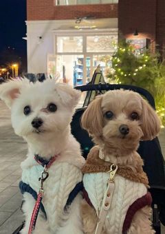 中 町 兄 妹 の 末 っ 子 ❤️‍🔥