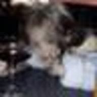 shkさんのアイコン画像